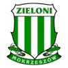 ZIELONI MOKRZESZÓW